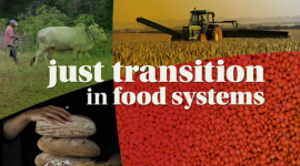 Just Transition in Food Systems