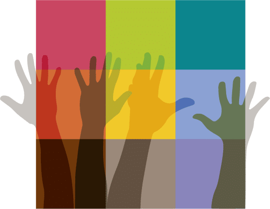 Flemish Network for Service-Learning in Higher Education